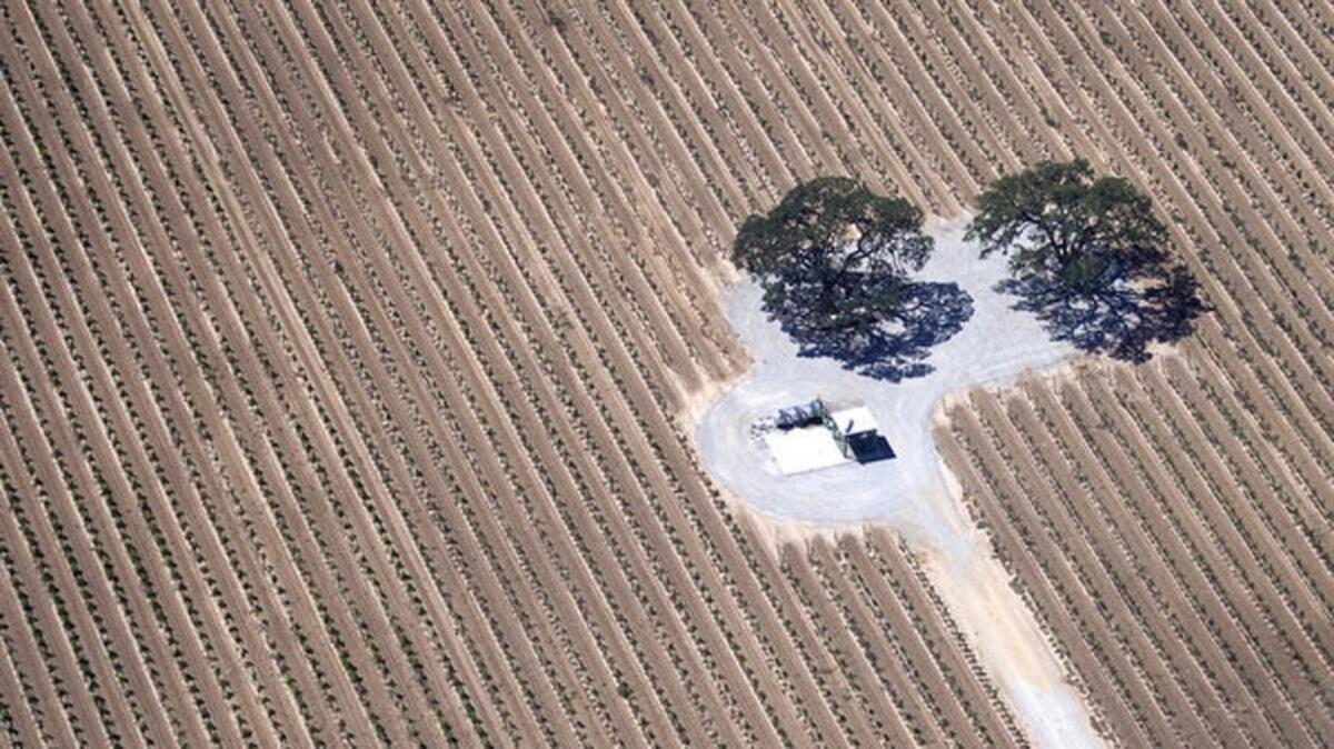 A road leads to well site in a vineyard near Highway 46 east of Paso Robles.