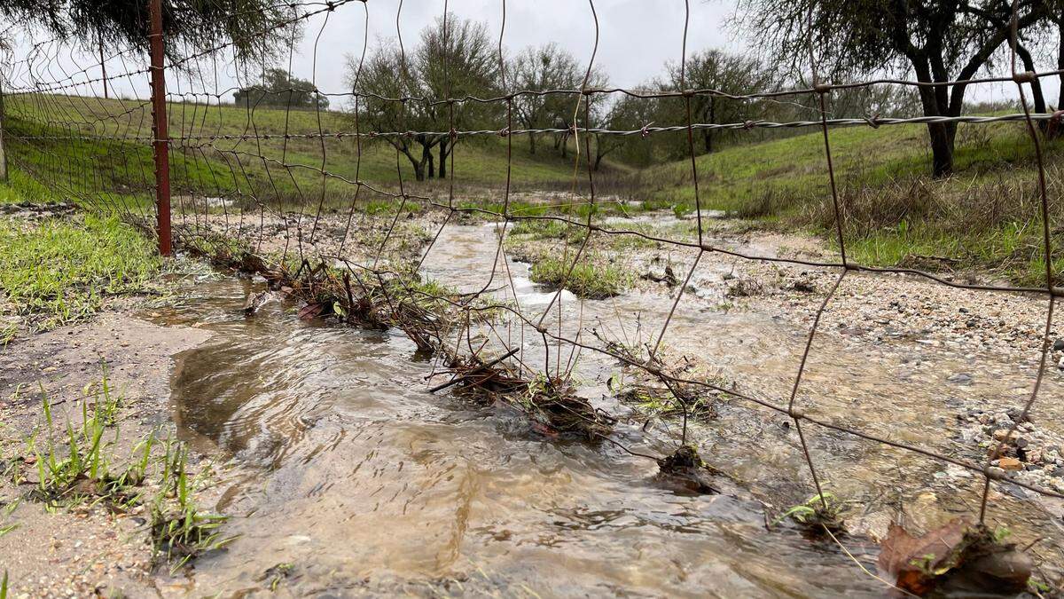 Rainfall runs off Homestead Road to neighborhing properties in Atascadero on Jan. 14, 2023.