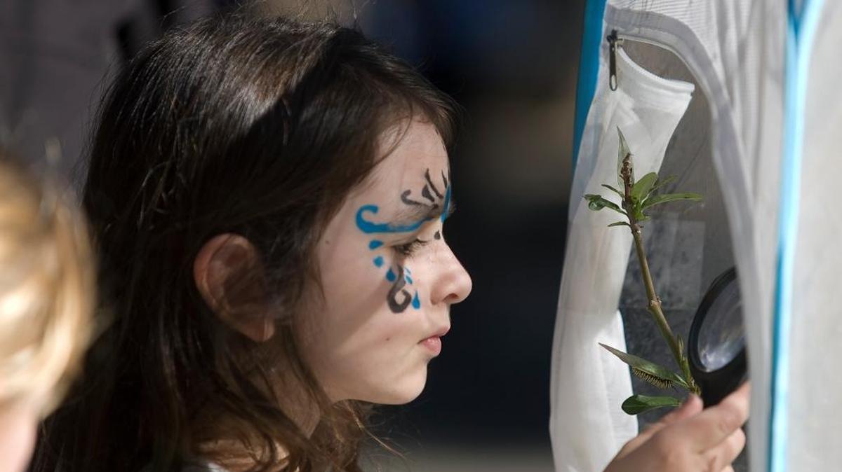 Maria Gasparini, 8, of Los Angeles uses a magnifying glass to view a display of the monarch butterfly life cycle at a science table at the California Western Monarch Day celebration in Pismo Beach on Saturday. A monarch caterpillar can be seen to the left of her hand.