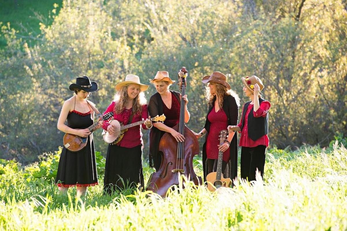 The Honeysuckle Possums perform as part of the Atascadero 4th of July Bluegrass Freedom Festival on Tuesday.