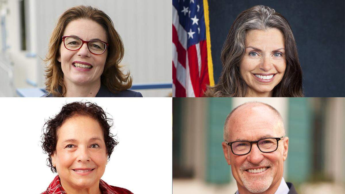 At top, Dawn Addis, left, is challenged by Dalila Epperson in the race for the District 30 state Assembly seat. At bottom, Gregg Hart, right, is challenged by Sari Domingues in the District 37 race.