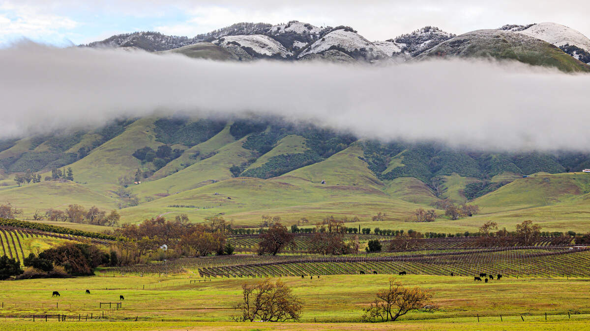 A view of the snow from Orcutt Road outside San Luis Obispo on Feb. 25, 2023.