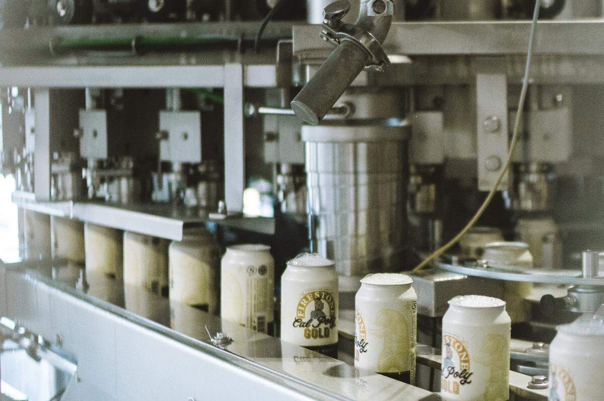 Cans of the new Cal Poly Gold craft beer are filled at Firestone Walker’s brewery in Paso Robles.