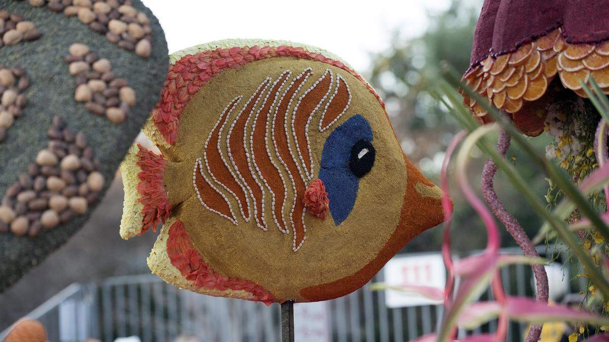 One of the fish on the 2020 Cal Poly Rose Parade float, “Aquatic Aspirations,” makes its way in Pasadena. The San Luis Obispo university released its design for its 2024 Rose Parade float on