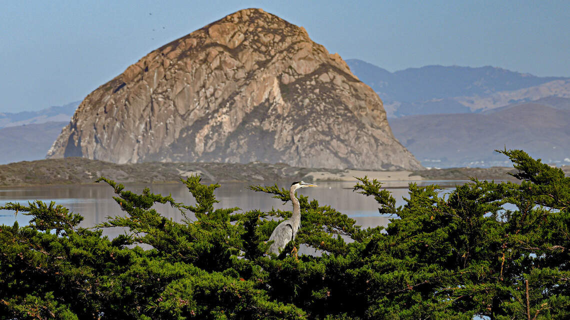 We’re on track for a La Niña winter. What does that mean for SLO County?