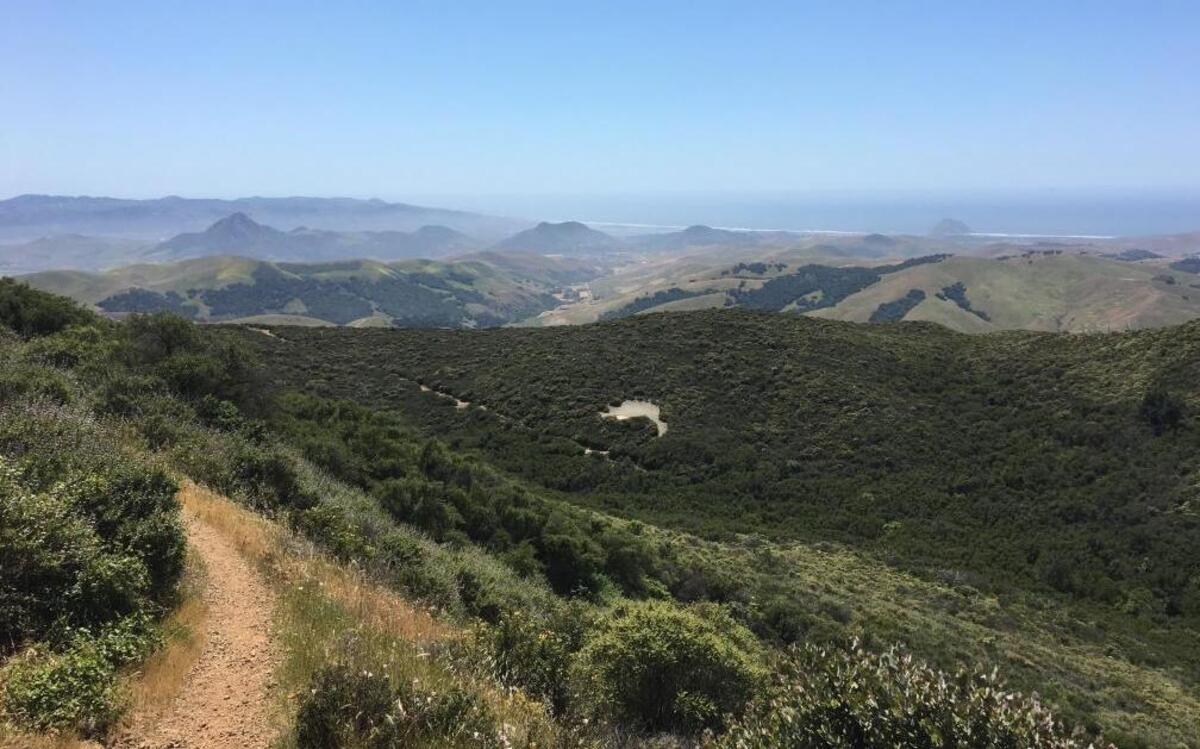The Cerro Alto Trail begins at the Cerro Alto Campground in Los Padres National Forest.