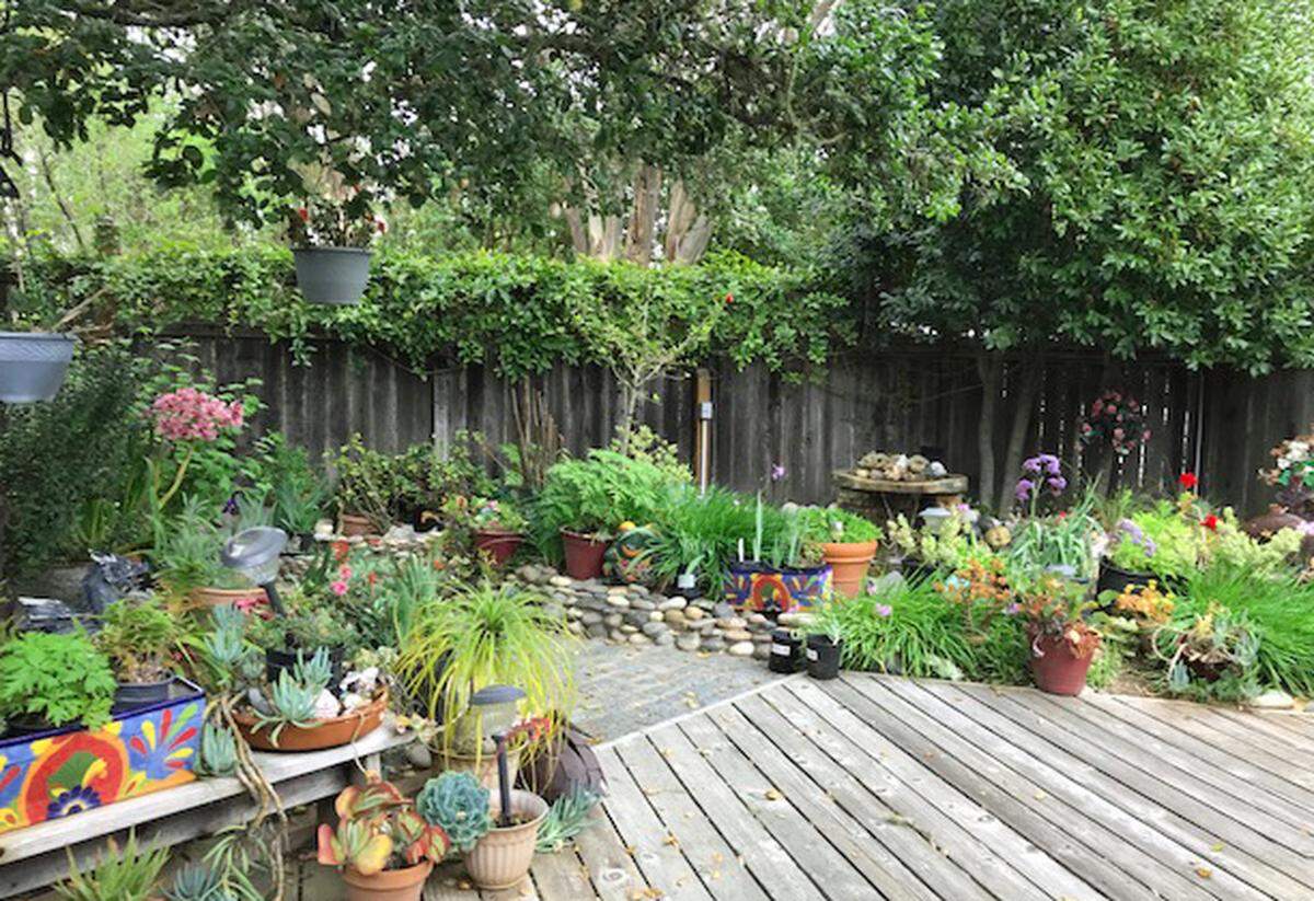 Sit a spell in a garden like this one at columnist Kathe Tanner’s home, and feel your mood lift, especially if the hummingbirds are buzzing around.