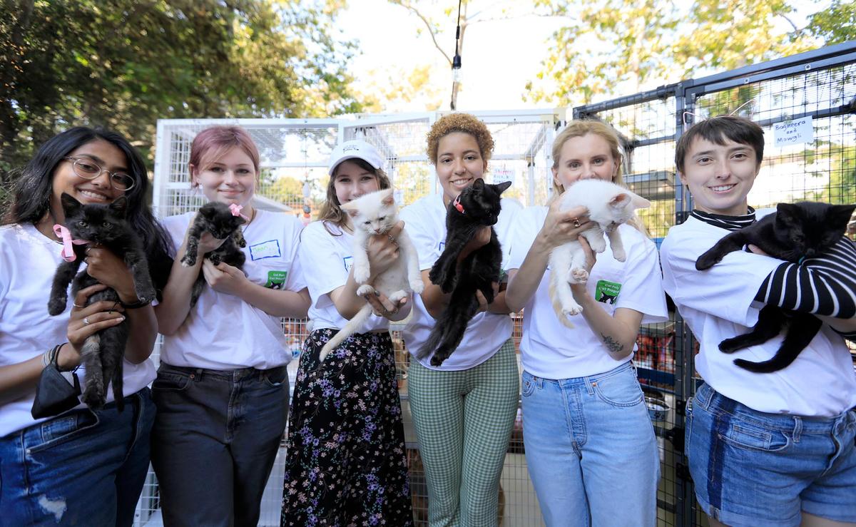 Cal Poly Cat Program volunteers hold the kittens that were available for adoption at an event on Saturday.