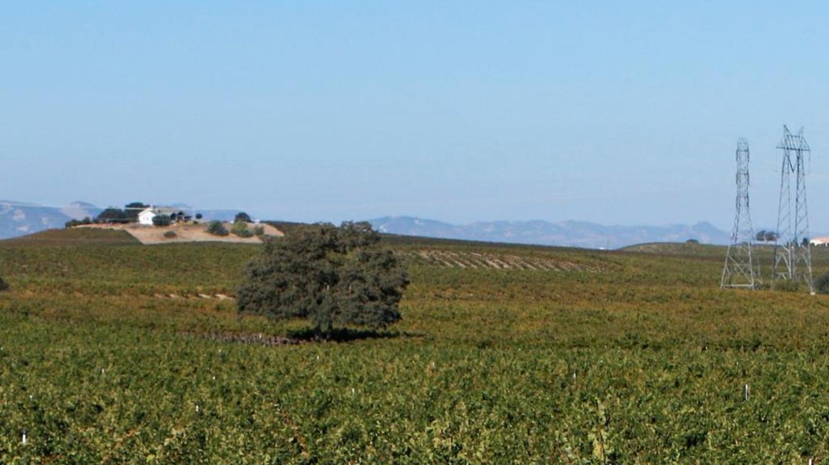 Paso Robles.