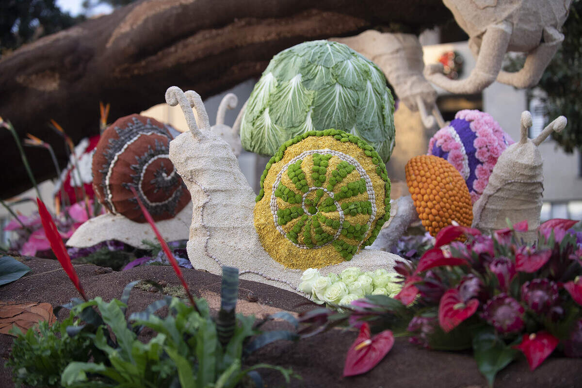 The Cal Poly Universities Rose Float, “Road to Reclamation,” makes its way down Colorado Blvd in Pasadena on Jan. 2, 2023. The float won the Extraordinaire Award. The float featured animated snails, gigantic toadstools and other marvels of the natural world that can be found on the forest floor
