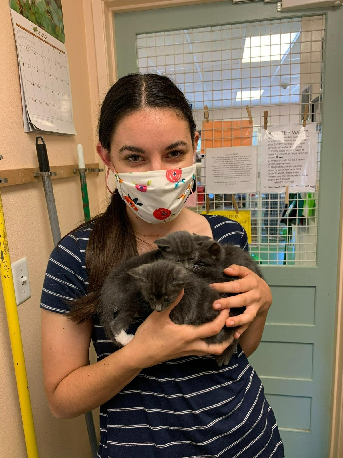 The Cal Poly Cat Program has faced impacts from high demand for services, a pinched budget and lower demand for adoptions as the pandemic restrictions have lifted.
