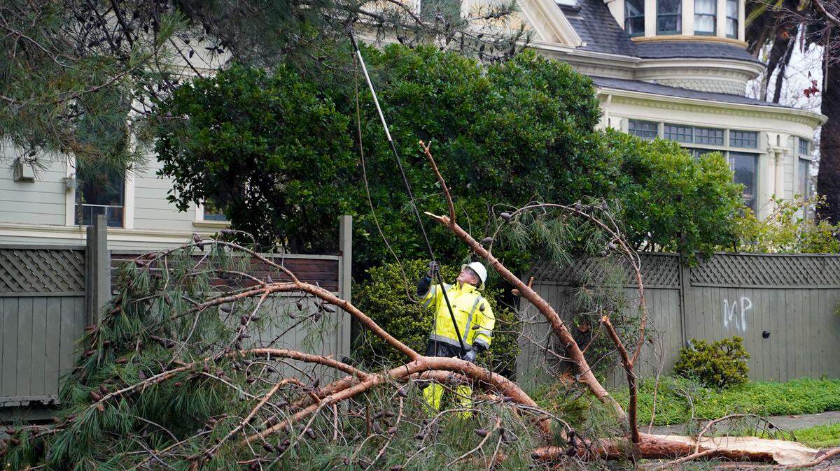 San Luis Obispo Utilities Department worker John Humphrey trims pine branches hanging over a power line after a branch fell from the tree, blocking part of Broad Street near Islay Street on Thursday, Feb. 13, 2025.