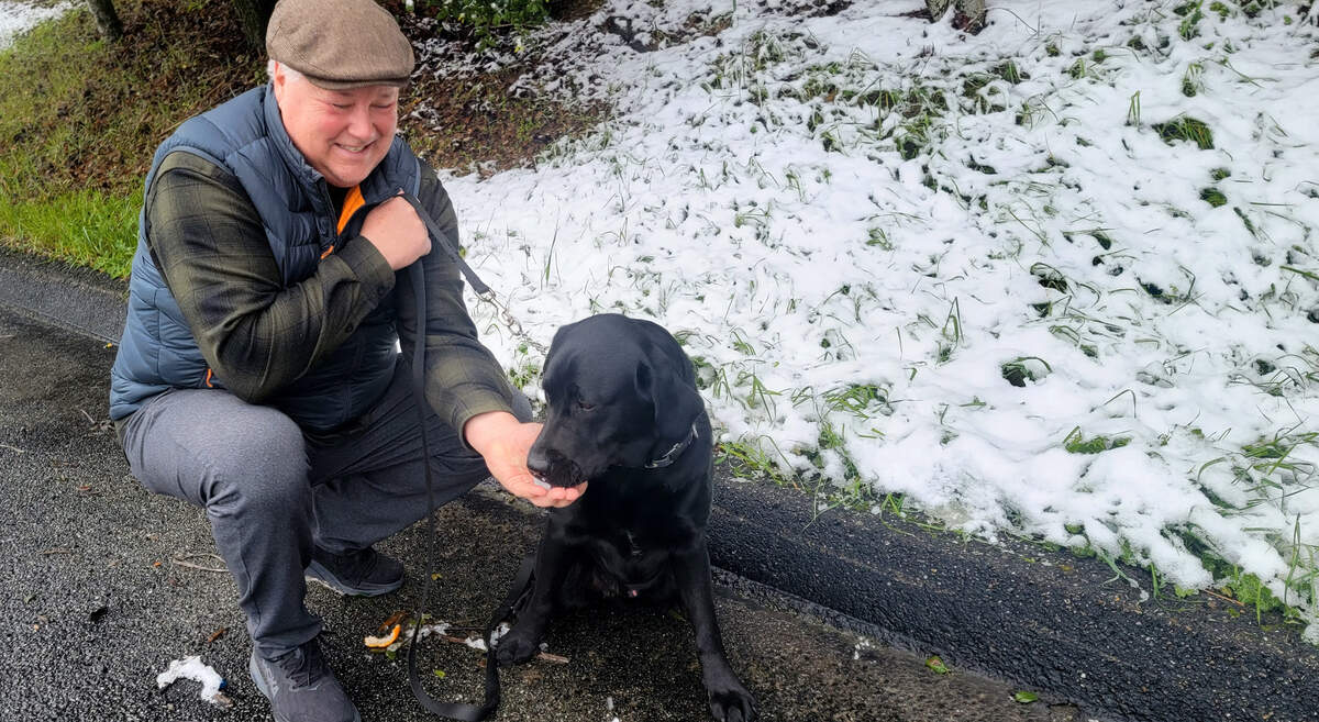 Brian Storrs of San Luis Obispo took his dog Mr. Bojangles up to the Cuesta Grade summit to see the snow on Saturday, Feb. 25, 2023.