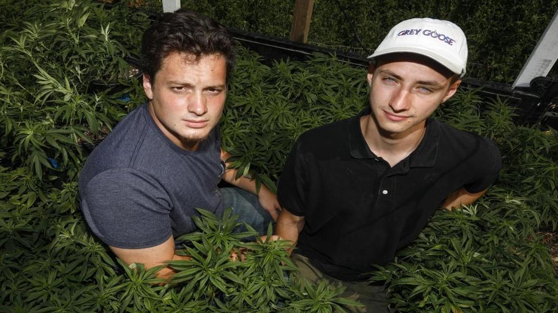 Nicolas Pitchon, left, and Matt O’Connor are organizing the county’s first recreational marijuana festival. It involves a competition, hence the festival name, SLO Cup.