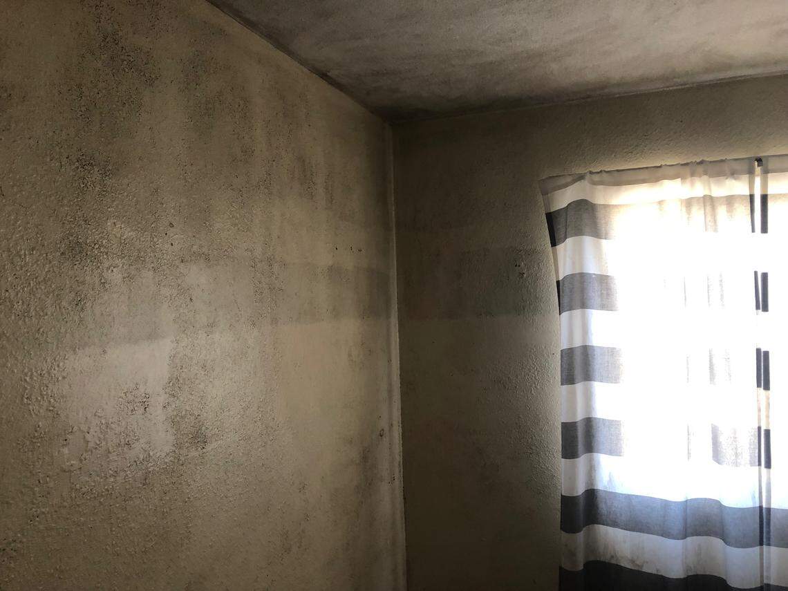 A Grand View tenant’s bedroom walls are covered in black mold.