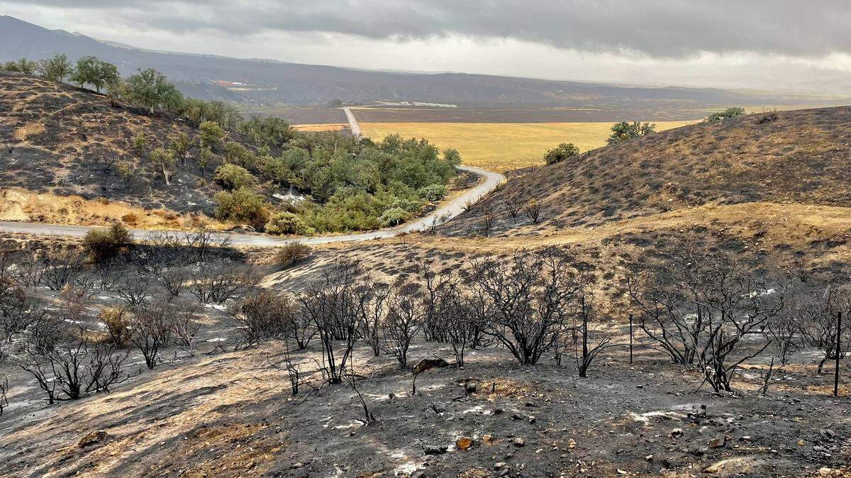 The Plant Fire in Santa Barbara County was 60% contained as of August 21, 2023.