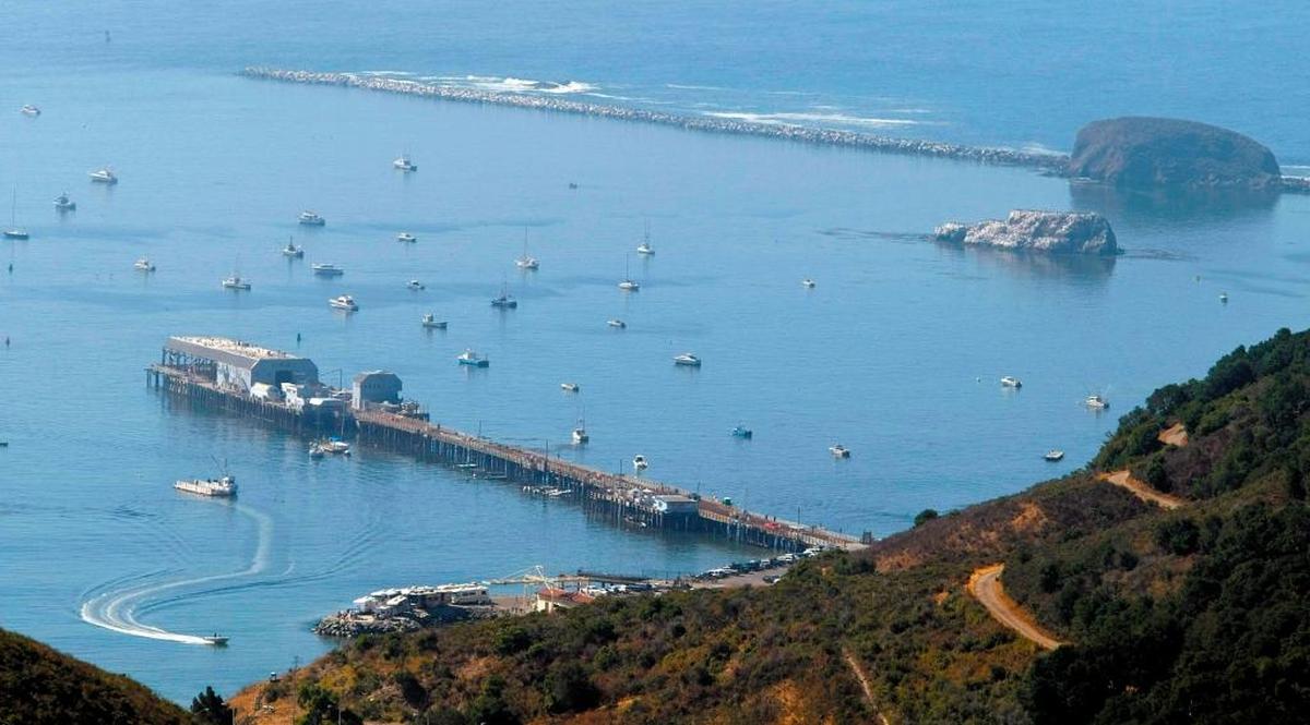 A view of Port San Luis from Wild Cherry Canyon.