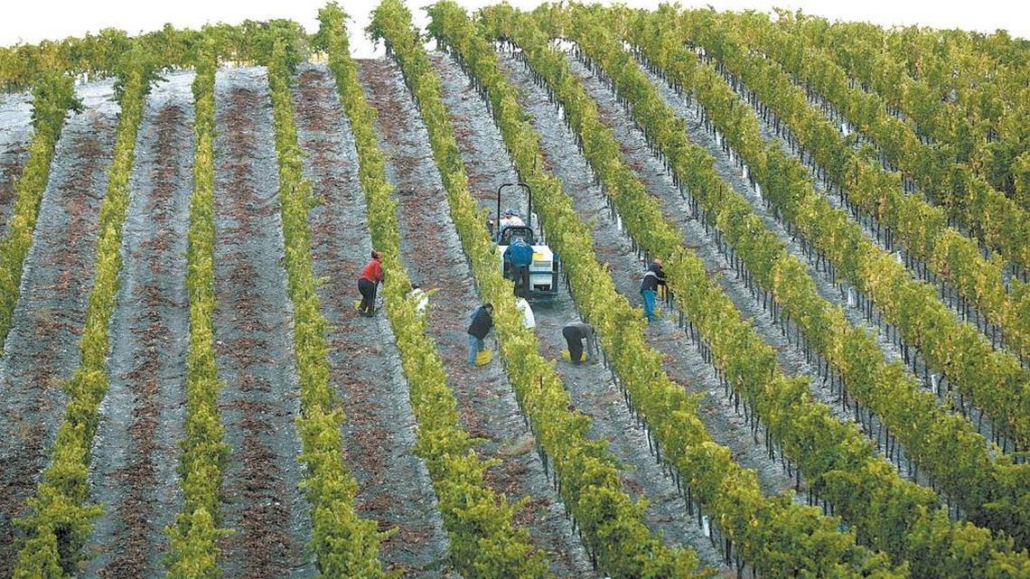 New idea offered for Paso Robles basin water fee — and there’s no way out this time