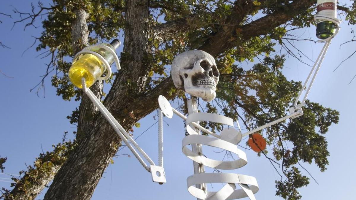 A cheerful skeleton toasts drivers with bottles of wine on Airport Road in Paso Robles. The whimsical Halloween decoration is accompanied by a sign under it that wishes passersby a “Happy Hallowine.” The looming oak tree that the skeleton guards also is adorned by skull and jack-o’-lantern ornaments.
