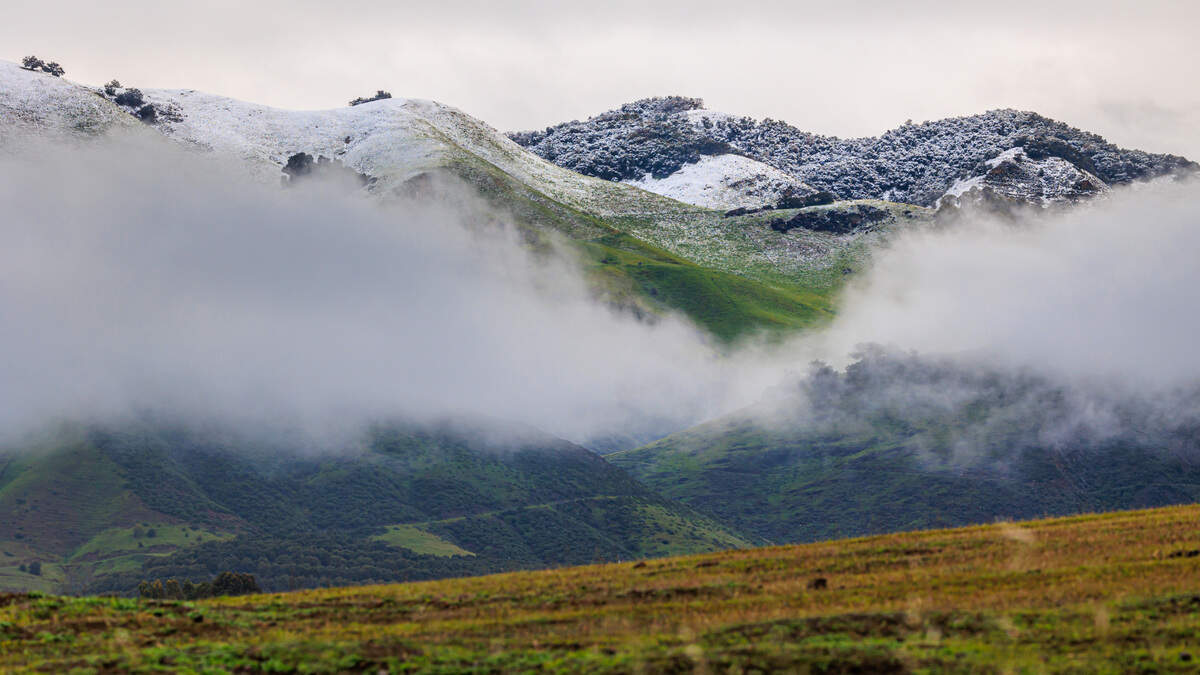 A view of the snow from Orcutt Road outside San Luis Obispo on Feb. 25, 2023.