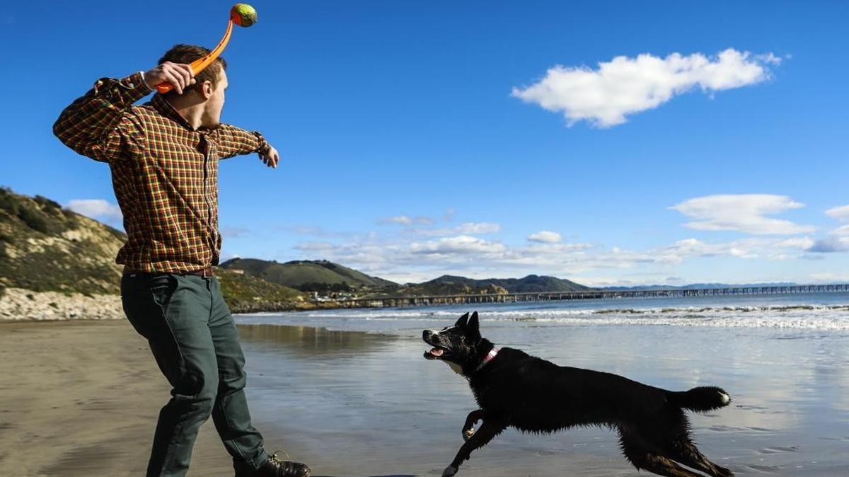 Maggie Mae fetches a ball for her owner Tanner Walker on Friday afternoon at Olde Port Beach in Port San Luis. Port San Luis Harbor District is considering changing its rules for dogs on some of its beaches.