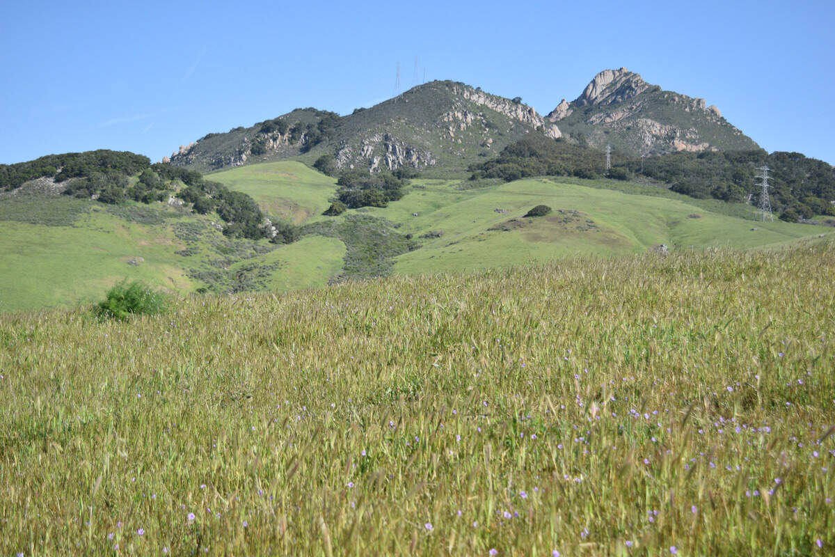 Newly preserved land in the Los Osos Valley included 540 acres around Hollister Peak.