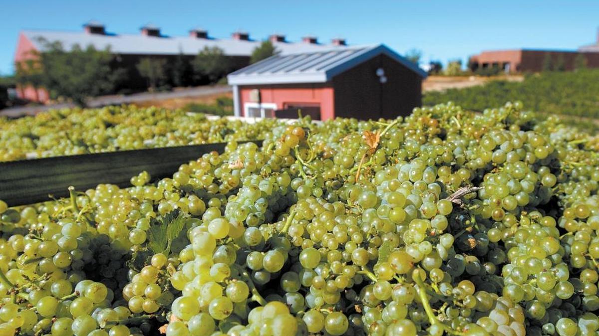 A truc load of grapes makes its way to the Robert Hall winery in Paso Robles in 2007. Trip Advisor noted the region is “renowned for wine-making,” in addition to its proximity to the coast.