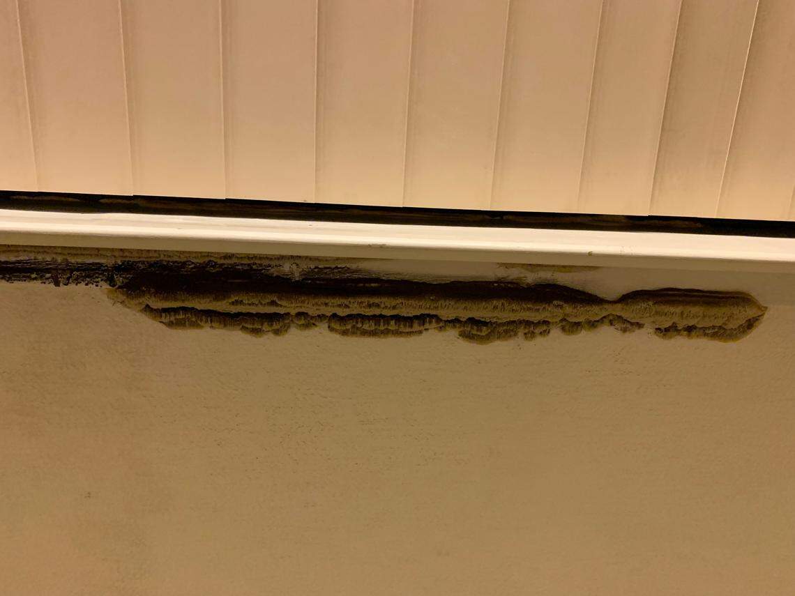 Just after Miranda gave birth to her son, she and her husband began noticing fungus growing on one of the walls in their Cambria rental home. Mold was visible on the wall, and they spotted fungus around window sills.