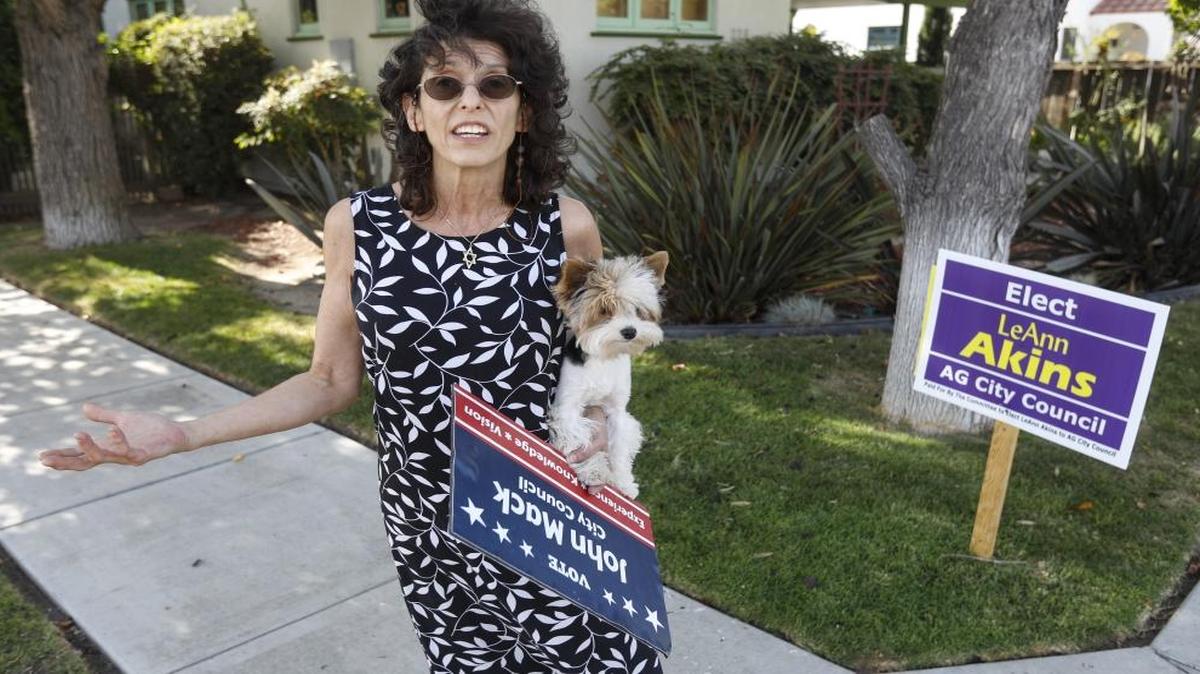 Ronnit Shanny had her John Mack for City Council sign ripped off its stake and thrown on her lawn.
