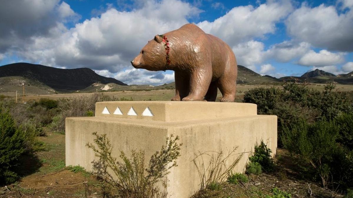 The bear on South Bay Boulevard in Los Osos.