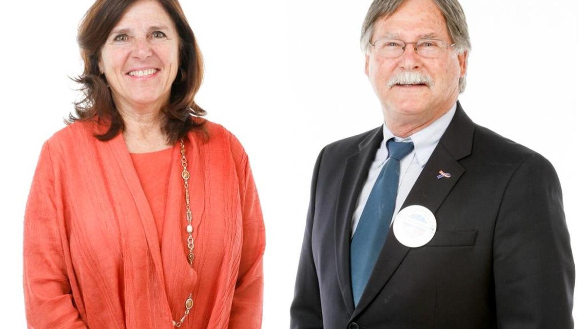 Debbie Arnold and Eric Michielssen are running for 5th District supervisor.