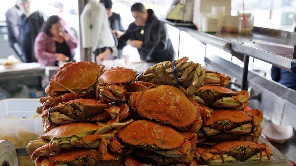 Good news for lovers of California’s Dungeness crab
