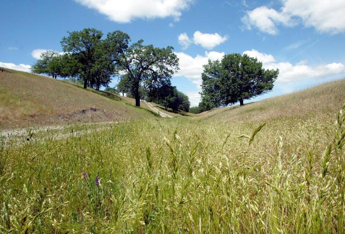 The Parkfield Bluegrass Festival returns to Parkfield, in southern Monterey County, on May 10 through 13, 2018.
