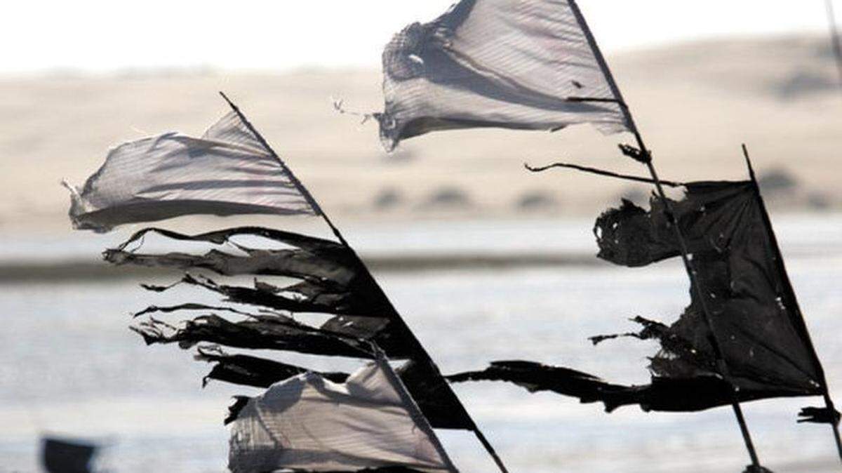 A windy day at the Morro Bay Marina in 2012.