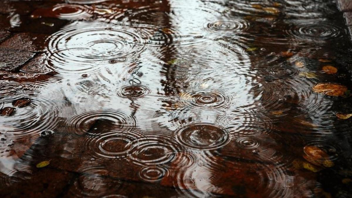 Rain drops fall in a puddle in Downtown San Luis Obispo.