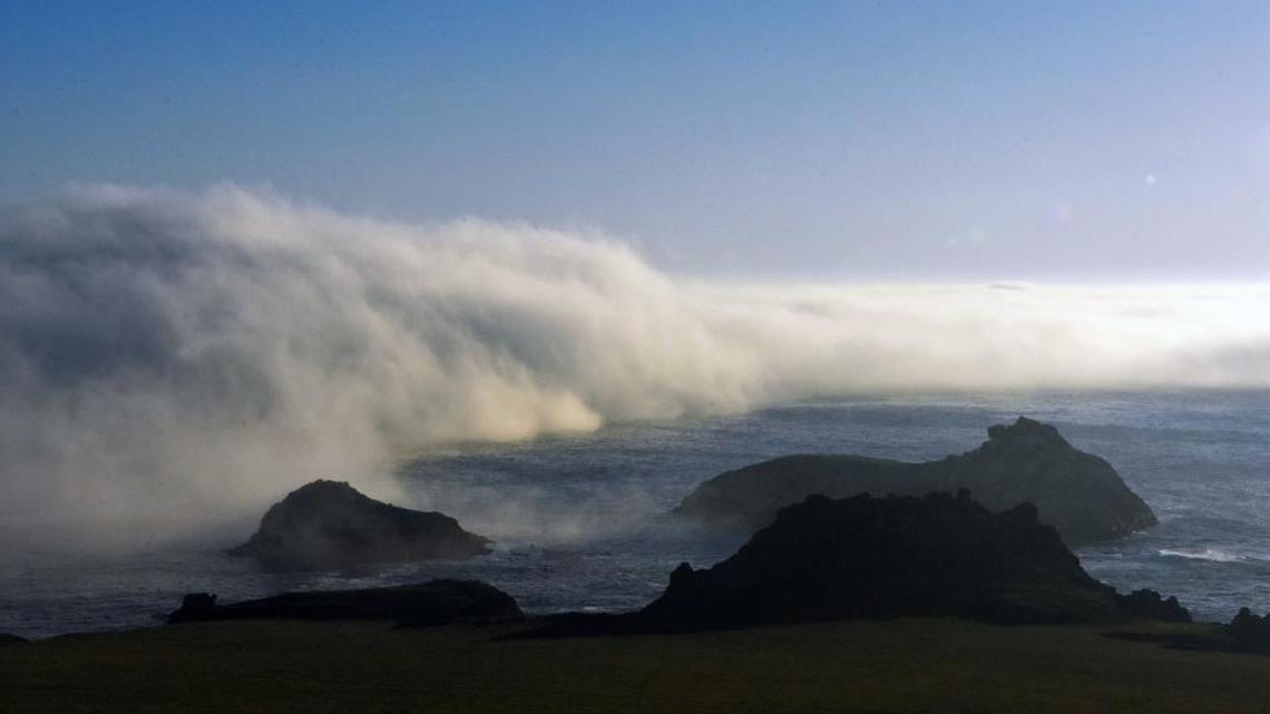 A fog bank along the Pecho Coast near Diablo Canyon nuclear power plant.