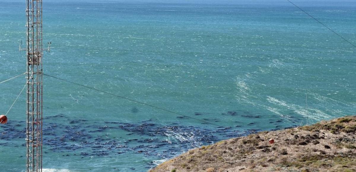 This photo taken Sunday, Oct. 22, 2017, shows the effects of the Santa Lucia (northeasterly/offshore) winds along the coastline at Diablo Canyon. Foam from wave crests was blasted into streaks in line with the northwesterly wind direction. Northeasterly wind gust reach 52 mph at The Diablo Canyon Meteorological Tower.