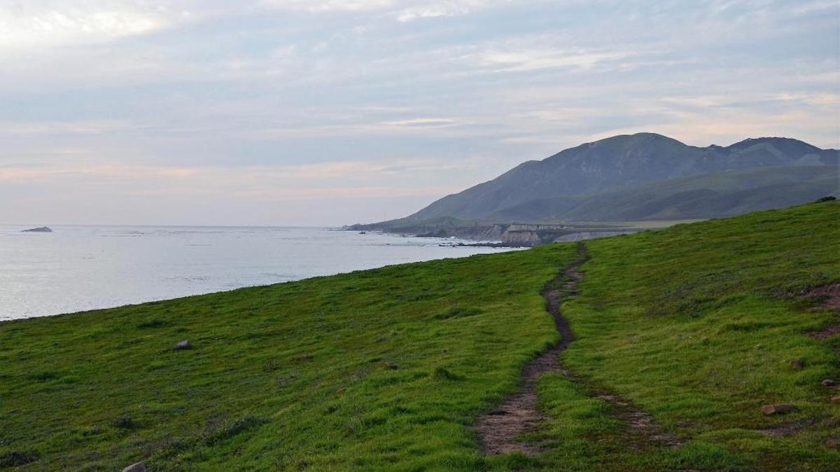 Terrain surrounding the Port San Luis Lighthouse turned green from recent rainstorms on the Central Coast.