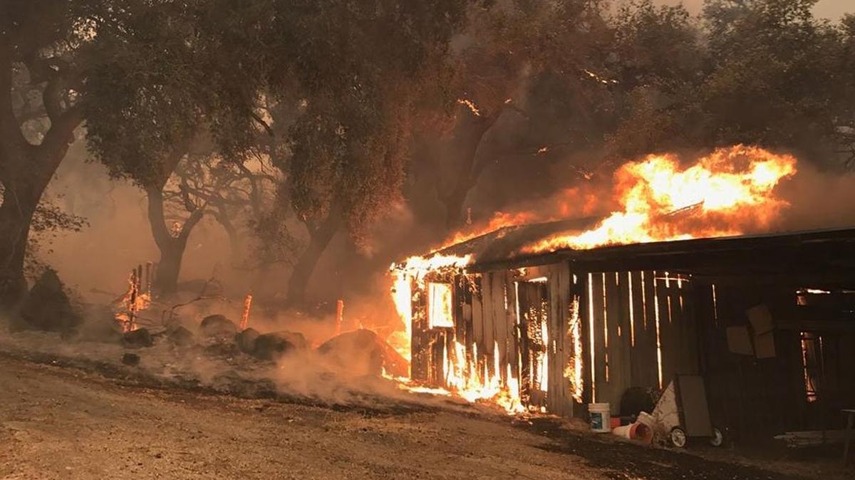 An outbuilding burns at Camp Whittier during the Whittier Fire in the Santa Ynez Valley.