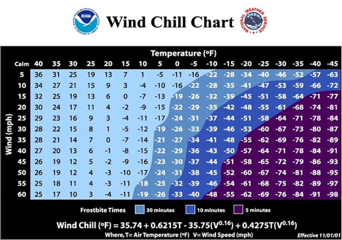 Wind chill index.