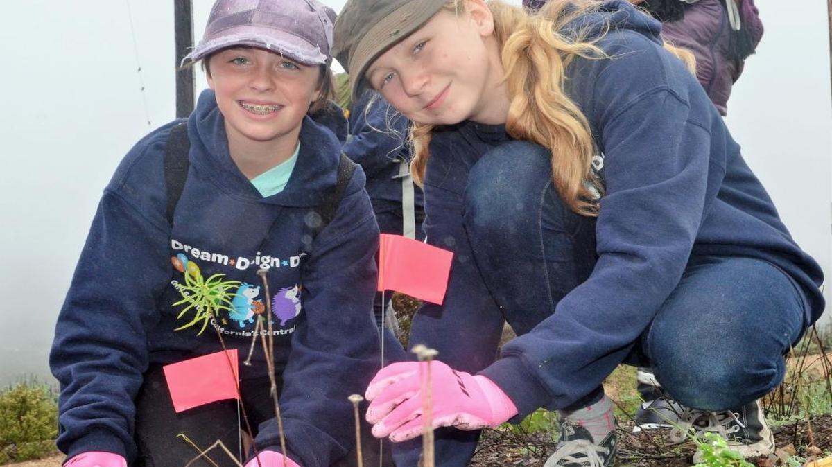 Girl Scouts of California's Central Coast Lauren Chaffin (left) and Lauren Dicek (right) planting native milk-weed, the primary food source of Monarch butterflies, in Saturday's heavy drizzle on the PG&E Diablo Canyon Lands.