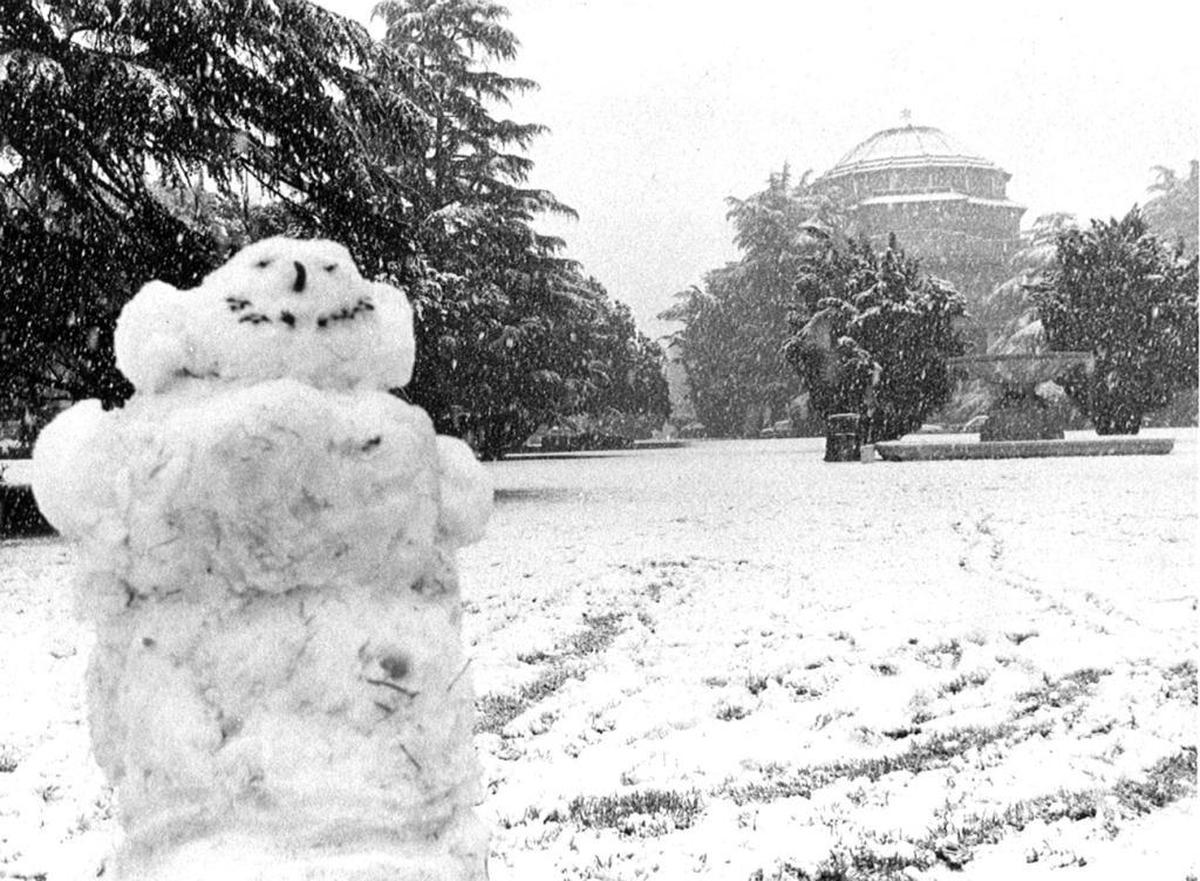 Snow falls in December 1988 at the Atascadero Sunken Gardens.