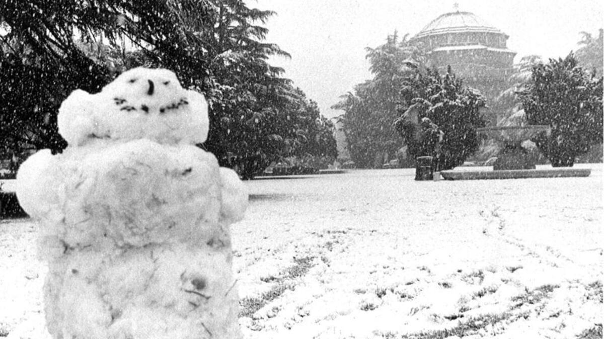 Snow falls in December 1988 at the Atascadero Sunken Gardens.