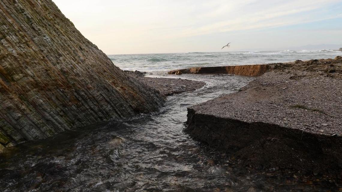 San Luis Obispo County’s Coon Creek provides important steelhead trout habitat.