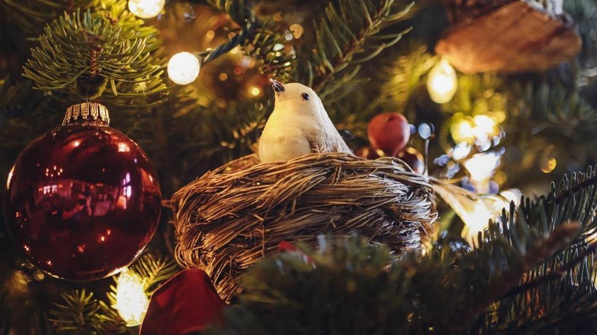 No matter how lovely, Christmas decorations should be kept under wraps until after Thanksgiving.