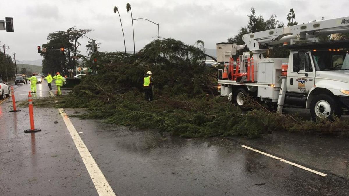 Several trees fell on South Higuera Street at Tank Farm Road during the storm Friday, February 17, 2017.
