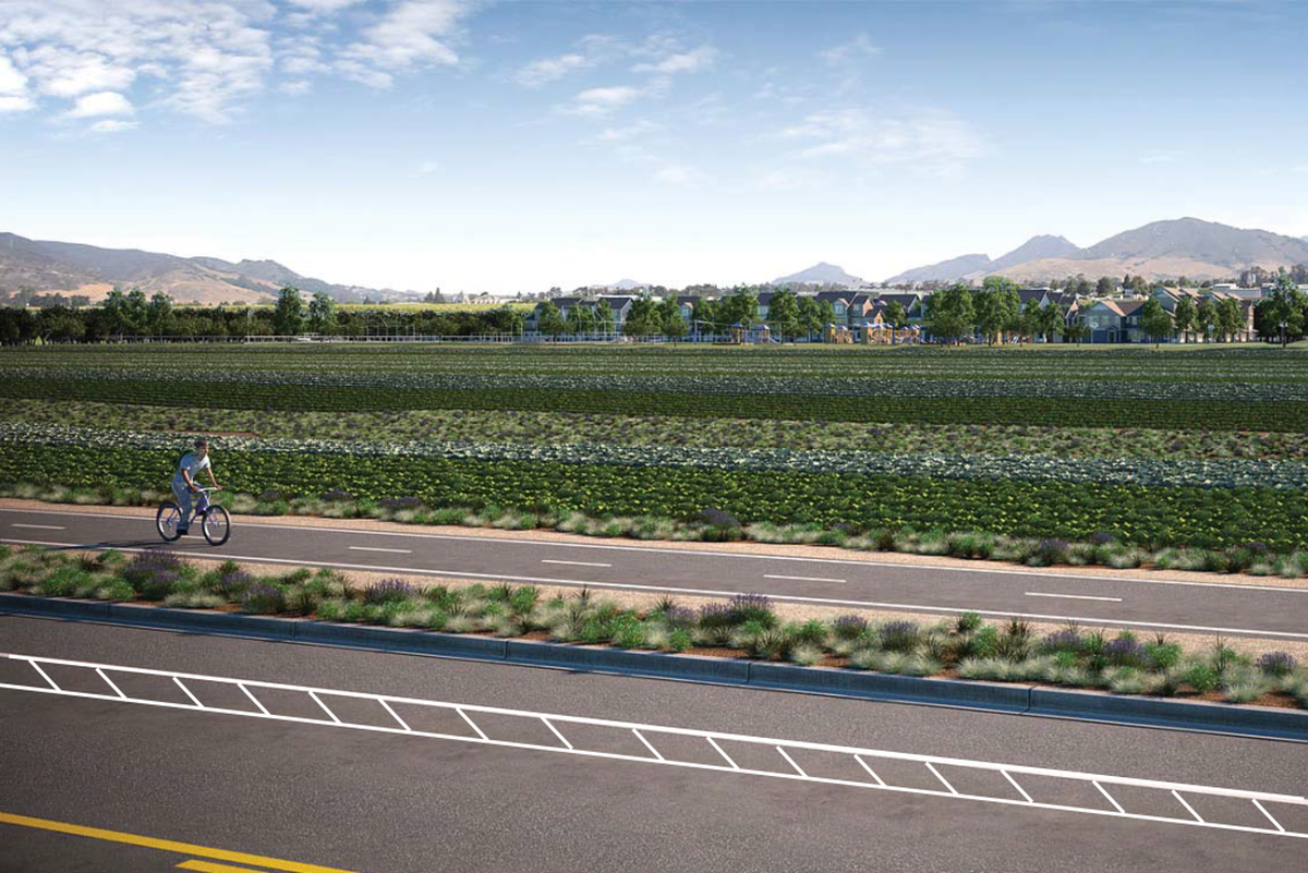 Rendering of Buckley Road bike path at proposed Avila Ranch Development in San Luis Obispo.