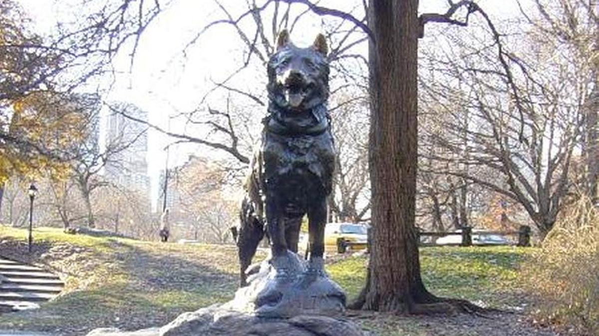 Balto, the Siberian husky that delivered life-saving medicine to Nome, Alaska, in 1925, is honored with a statue in New York’s Central Park. A smaller version would be an ideal way to remember Arroyo Grande’s “foxy.”