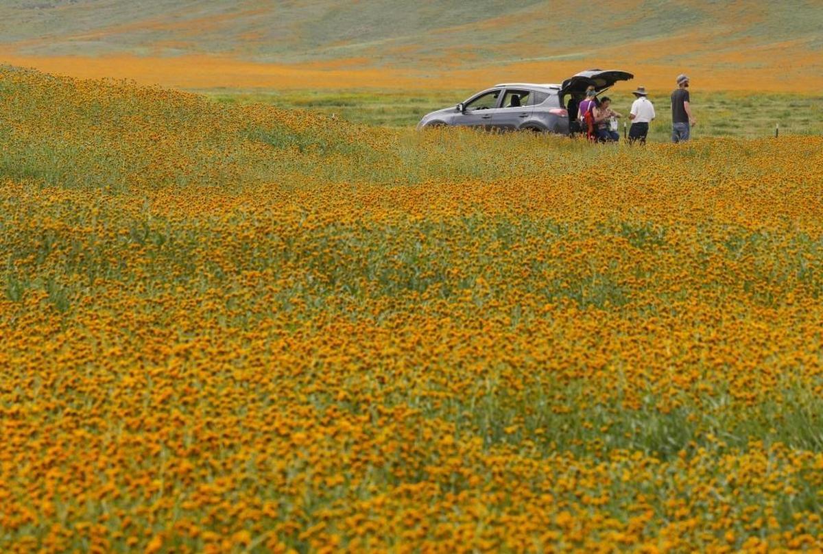 Carrizo Plain at the Soda Lake overlook on March 26, 2017.