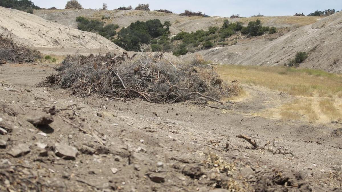 North County residents are concerned about a massive removal of oak trees making way for a vineyard. A stop work order has been issued by the county to Estate Vineyards LLC. The property is north of Highway 46 West.